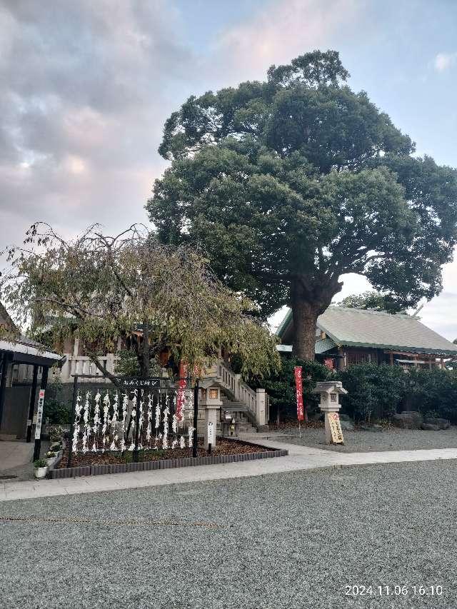 神奈川県伊勢原市伊勢原3ｰ8ｰ1 伊勢原大神宮（内宮）の写真9