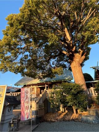 伊勢原大神宮（内宮）の参拝記録(マ　ノ　さん)