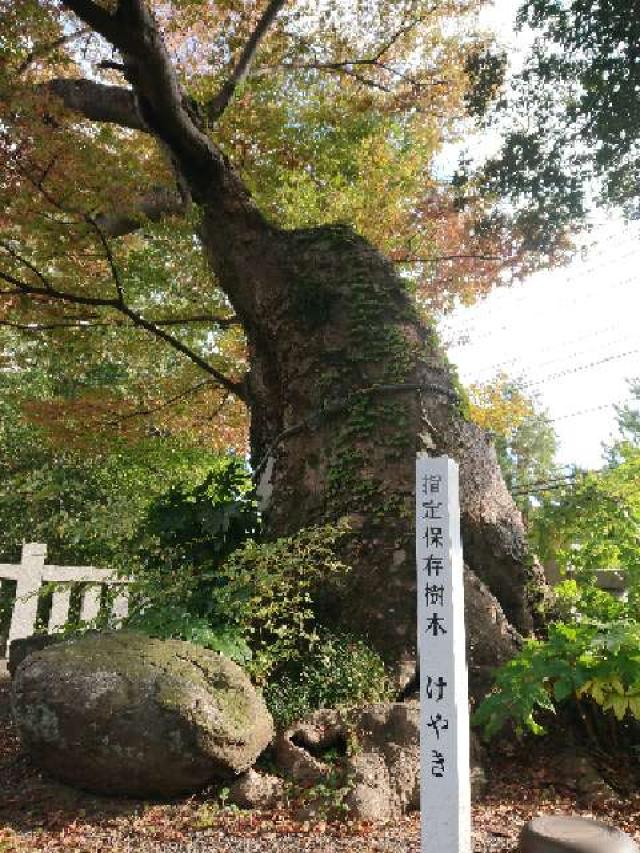 神奈川県伊勢原市上粕屋1763-1 比比多神社（子易明神）の写真5