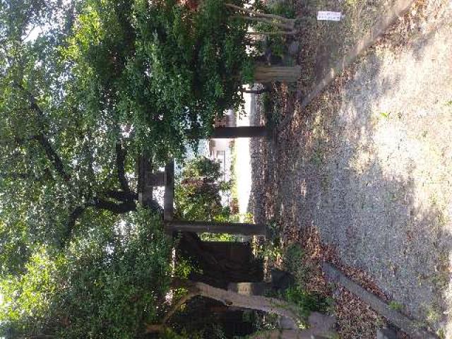 西富岡八幡神社（伊勢原市西富岡）の参拝記録8