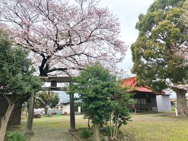 西富岡八幡神社（伊勢原市西富岡）の参拝記録1