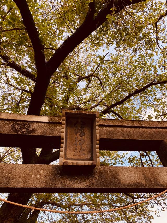 神奈川県伊勢原市西富岡890 西富岡八幡神社（伊勢原市西富岡）の写真1