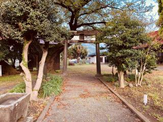 西富岡八幡神社（伊勢原市西富岡）の参拝記録(tsuさん)