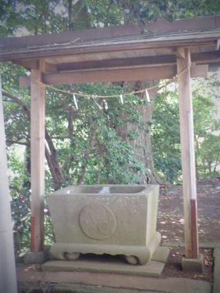 小金神社の参拝記録(三毛猫さん)