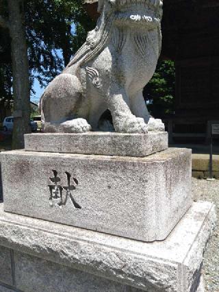 高部屋神社の参拝記録(三毛猫さん)