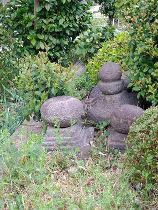 粟窪の道祖神の参拝記録(三毛猫さん)