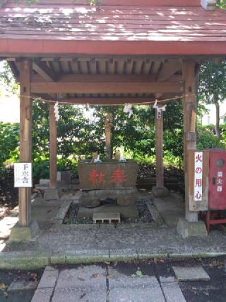 石田子安神社の参拝記録(三毛猫さん)