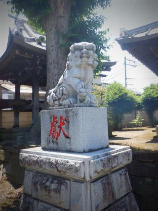 八幡神社の参拝記録(三毛猫さん)