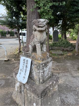 浅間大神（有鹿神社兼務社）の参拝記録(⛩️🐍🐢まめ🐢🐍⛩️さん)