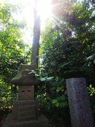 蚕神社（座間神社）の参拝記録(またたびさん)