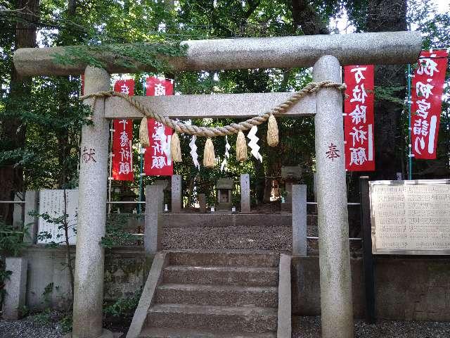 道祖神（座間神社）の参拝記録5