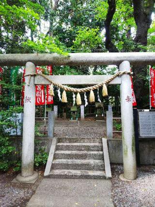 道祖神（座間神社）の参拝記録(またたびさん)