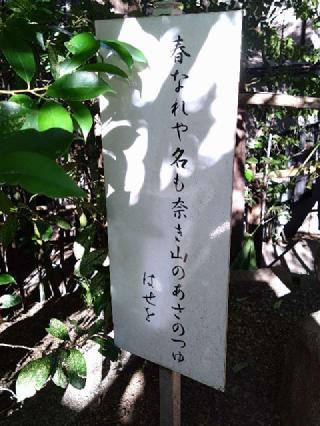 道祖神（座間神社）の参拝記録(三毛猫さん)