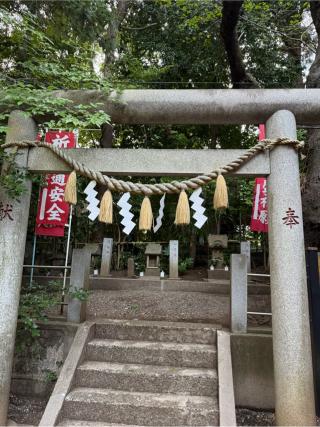 道祖神（座間神社）の参拝記録(⛩️🐍🐢まめ🐢🐍⛩️さん)