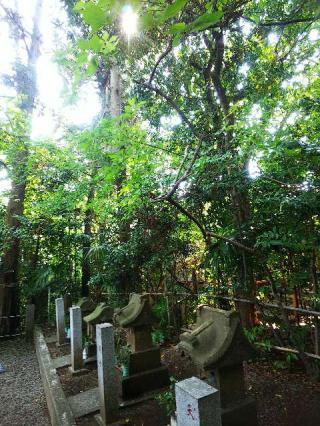 浅間社（座間神社）の参拝記録(またたびさん)