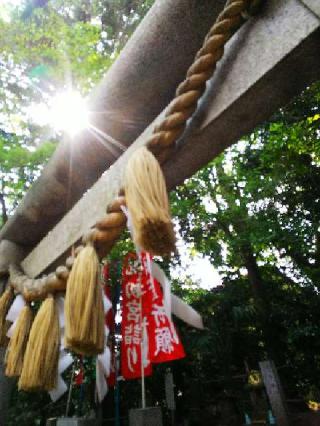 浅間社（座間神社）の参拝記録(またたびさん)