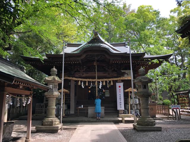 座間神社の参拝記録(ぱらぱっとさん)