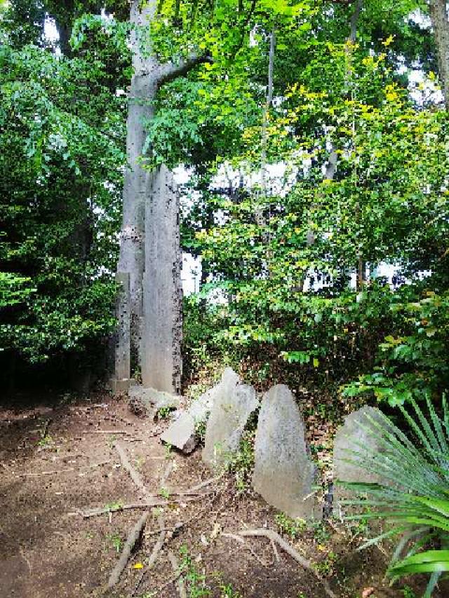 神奈川県座間市座間1ｰ3437 座間神社の写真11