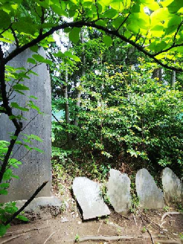 神奈川県座間市座間1ｰ3437 座間神社の写真12