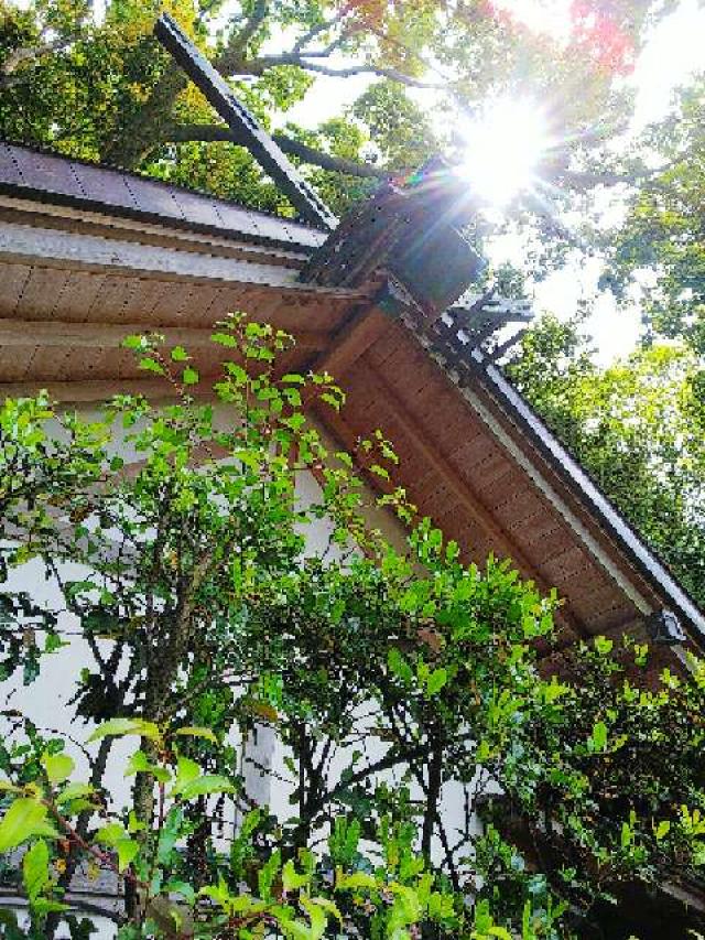 神奈川県座間市座間1ｰ3437 座間神社の写真15