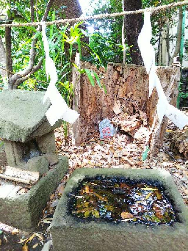 神奈川県座間市座間1ｰ3437 座間神社の写真34