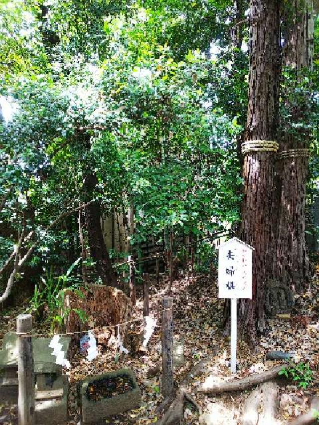 神奈川県座間市座間1ｰ3437 座間神社の写真36