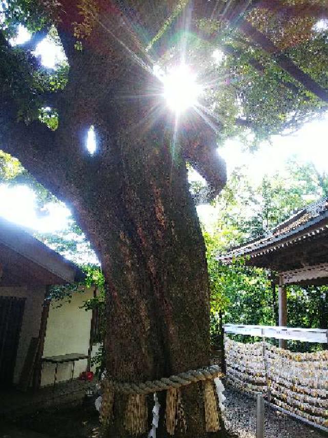 神奈川県座間市座間1ｰ3437 座間神社の写真43