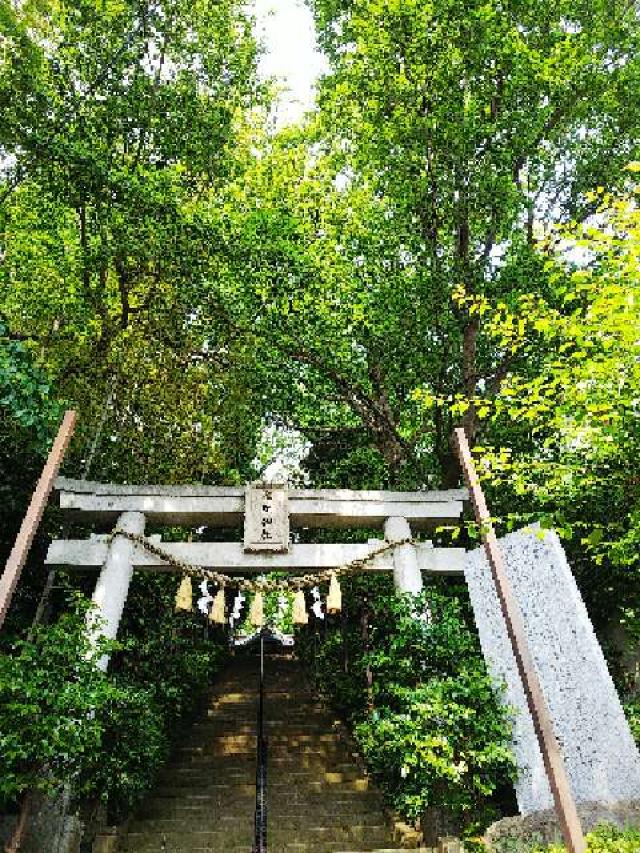 神奈川県座間市座間1ｰ3437 座間神社の写真52