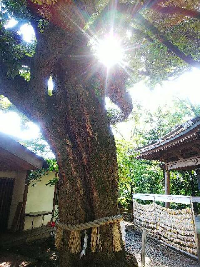 神奈川県座間市座間1ｰ3437 座間神社の写真53