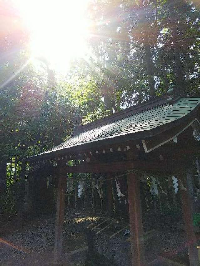 神奈川県座間市座間1ｰ3437 座間神社の写真54