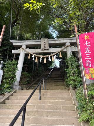 座間神社の参拝記録(⛩️🎠🐢まめ🐢🎠⛩️さん)