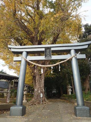 五社神社の参拝記録(なっちゃんさん)