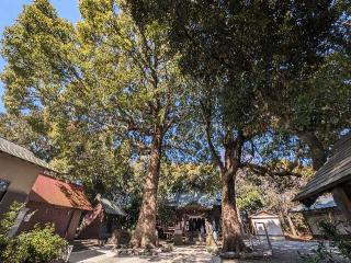 五社神社の参拝記録(おがおが1262さん)