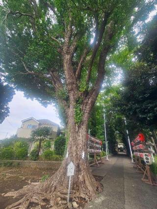 五社神社の参拝記録(たくまささん)