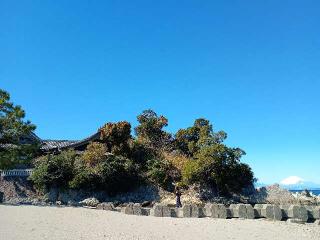 森戸大明神（森戸神社）の参拝記録(ジョージ。さん)