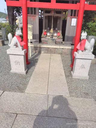 おせき稲荷社(森戸大明神境内社)の参拝記録(三毛猫さん)