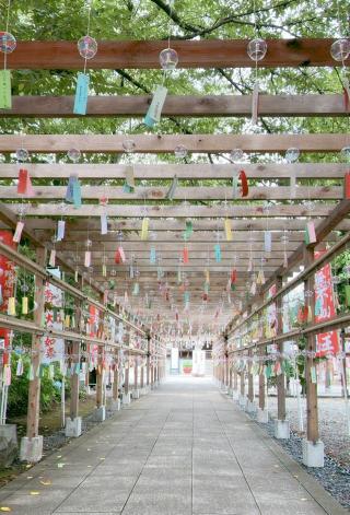 児栄山 実勝院 華蔵寺（下野厄除大師）の参拝記録(renardさん)
