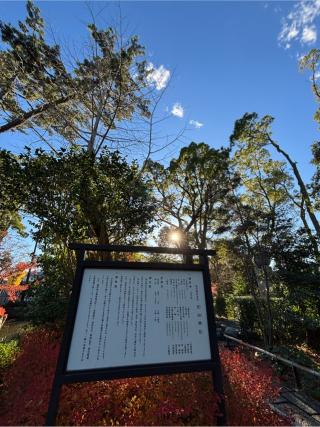 宮山神社（寒川神社末社）の参拝記録(マ　ノ　さん)