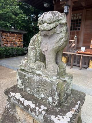 六所神社（相模国総社）の参拝記録(⛩️🐉🐢まめ🐢🐉⛩️さん)