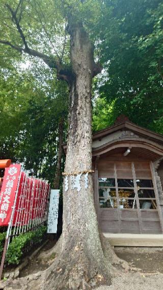 六所神社（相模国総社）の参拝記録(りょうまさん)