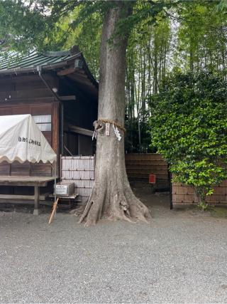 六所稲荷大明神の参拝記録(⛩️🎠🐢まめ🐢🎠⛩️さん)