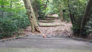 鷹取神社の参拝記録(たけさん)