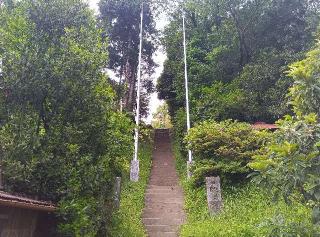 八坂神社の参拝記録(ひーさん)
