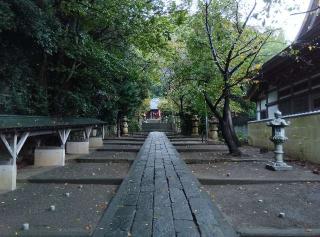 高来神社の参拝記録(ひーさん)