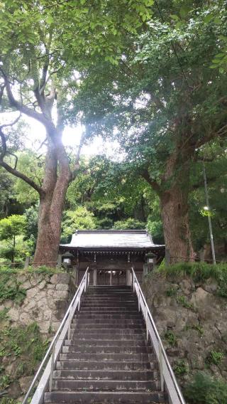 白岩神社の参拝記録(ひーさん)
