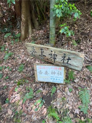 吾妻神社の参拝記録(⛩️🎠🐢まめ🐢🎠⛩️さん)