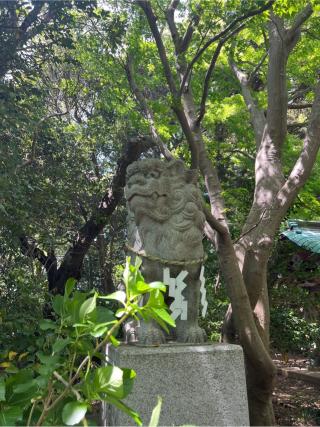 吾妻神社の参拝記録(⛩️🎠🐢まめ🐢🎠⛩️さん)