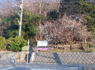 吾妻神社の参拝記録(ひーさん)