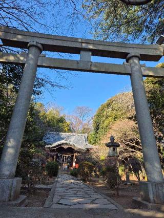 吾妻神社の参拝記録(ヒロ&ダディさん)