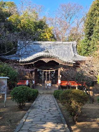 吾妻神社の参拝記録(ヒロ&ダディさん)